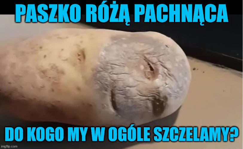 244649ed-ec4e-434e-ac8d-8a22cc9a06da