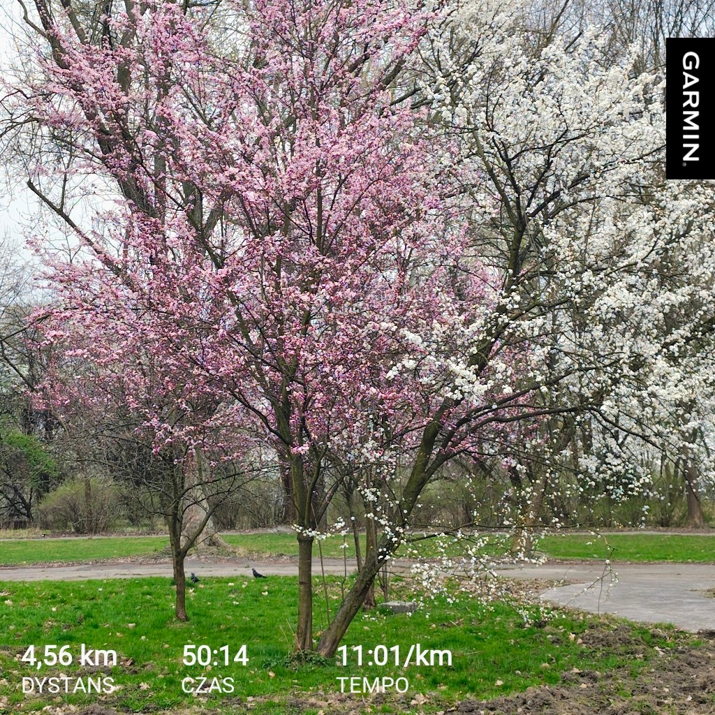 23273acf-489f-4a08-bcf5-fa23ee2d152c