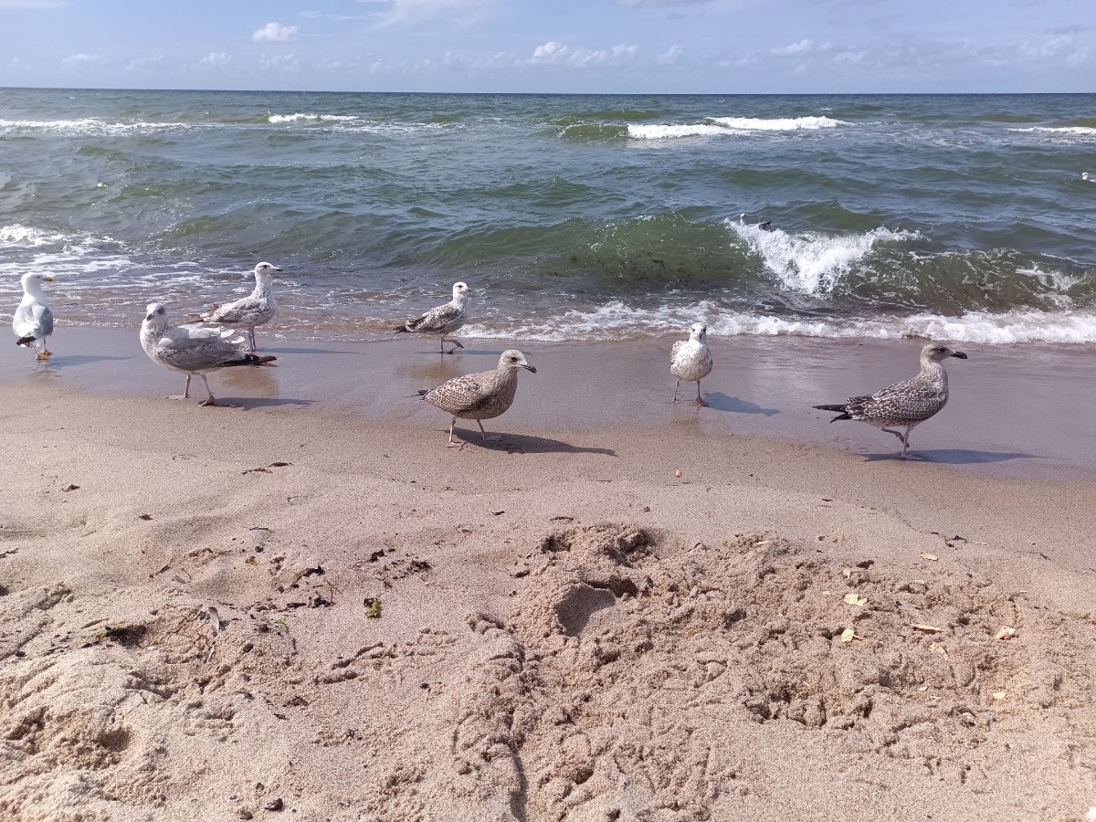 28e296de-8ab5-432e-9570-bbc71a746689