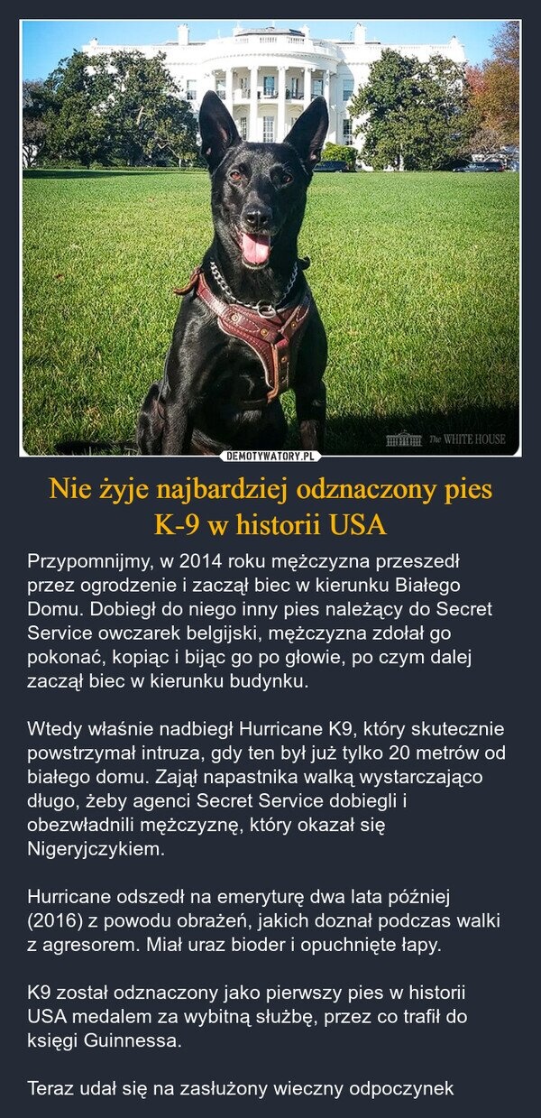 2ad2bd74-ee79-444e-a22a-9b138bbd6064