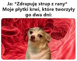 c5eca563-5cf1-4076-8d89-dbbe4f2372c2