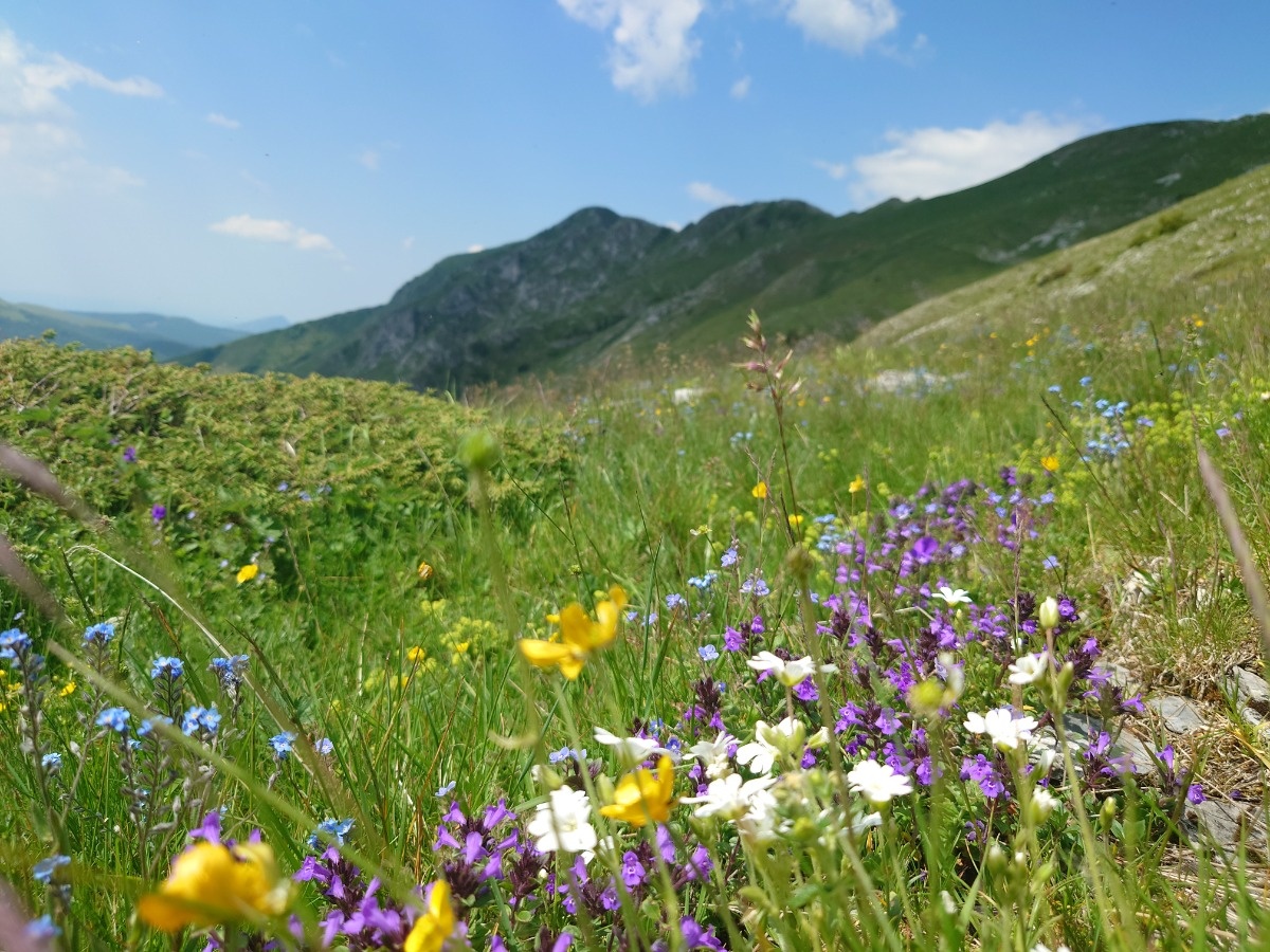 bab23304-24a7-4f70-bb83-21fa3715066b