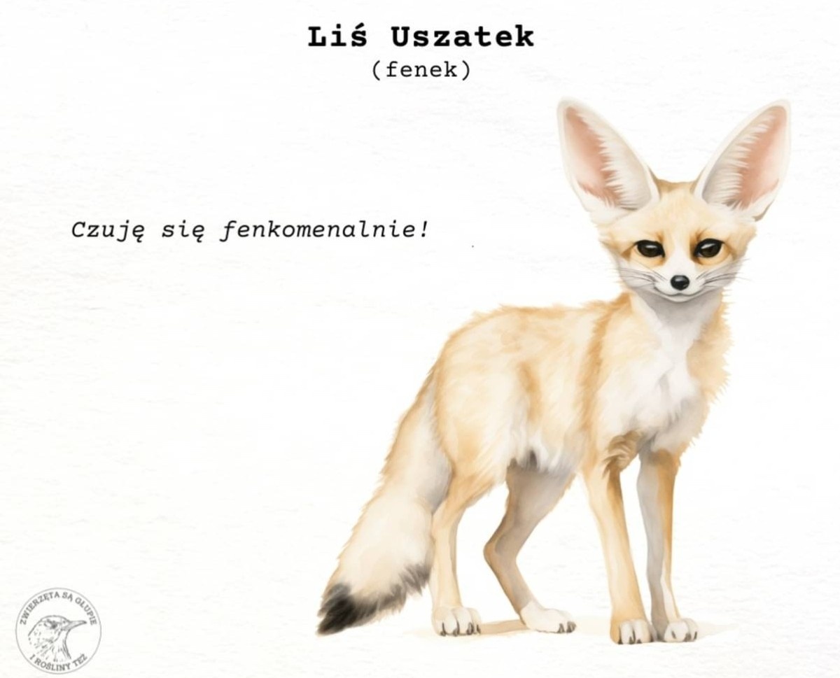 8ccb3889-00a4-4702-938f-e1415ec48f2b