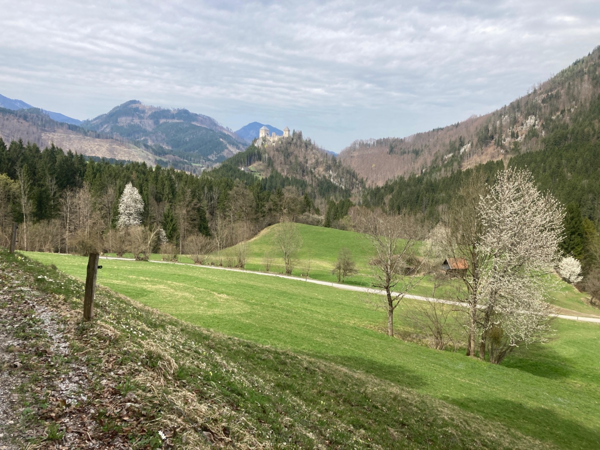 25ec6e33-1b26-4b7f-ae03-6dc05ecb8de5