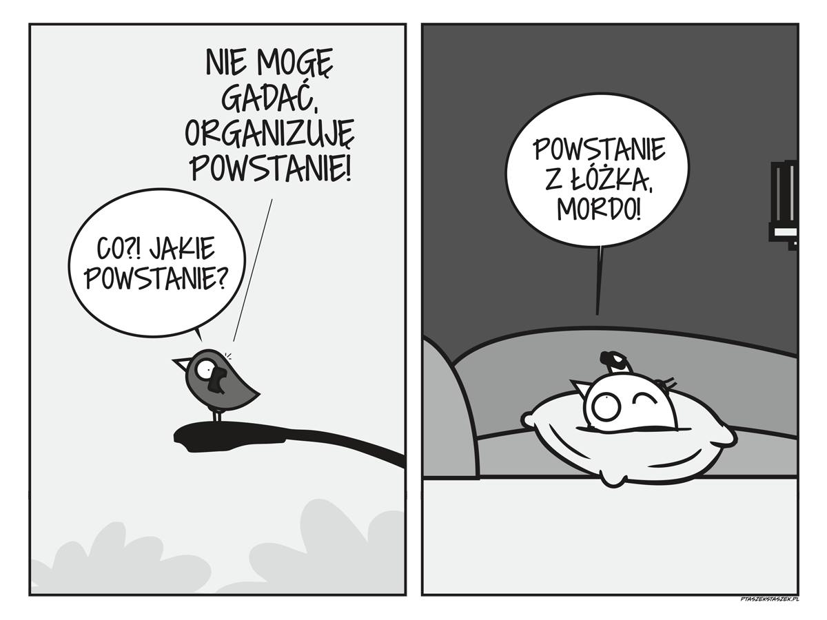 f95c35f4-a378-4c7d-aaa8-625551540e30