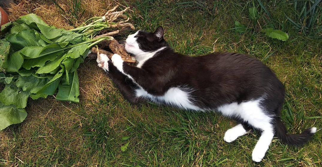 dddb17fd-20e7-40cc-bfa9-85976fe2601b