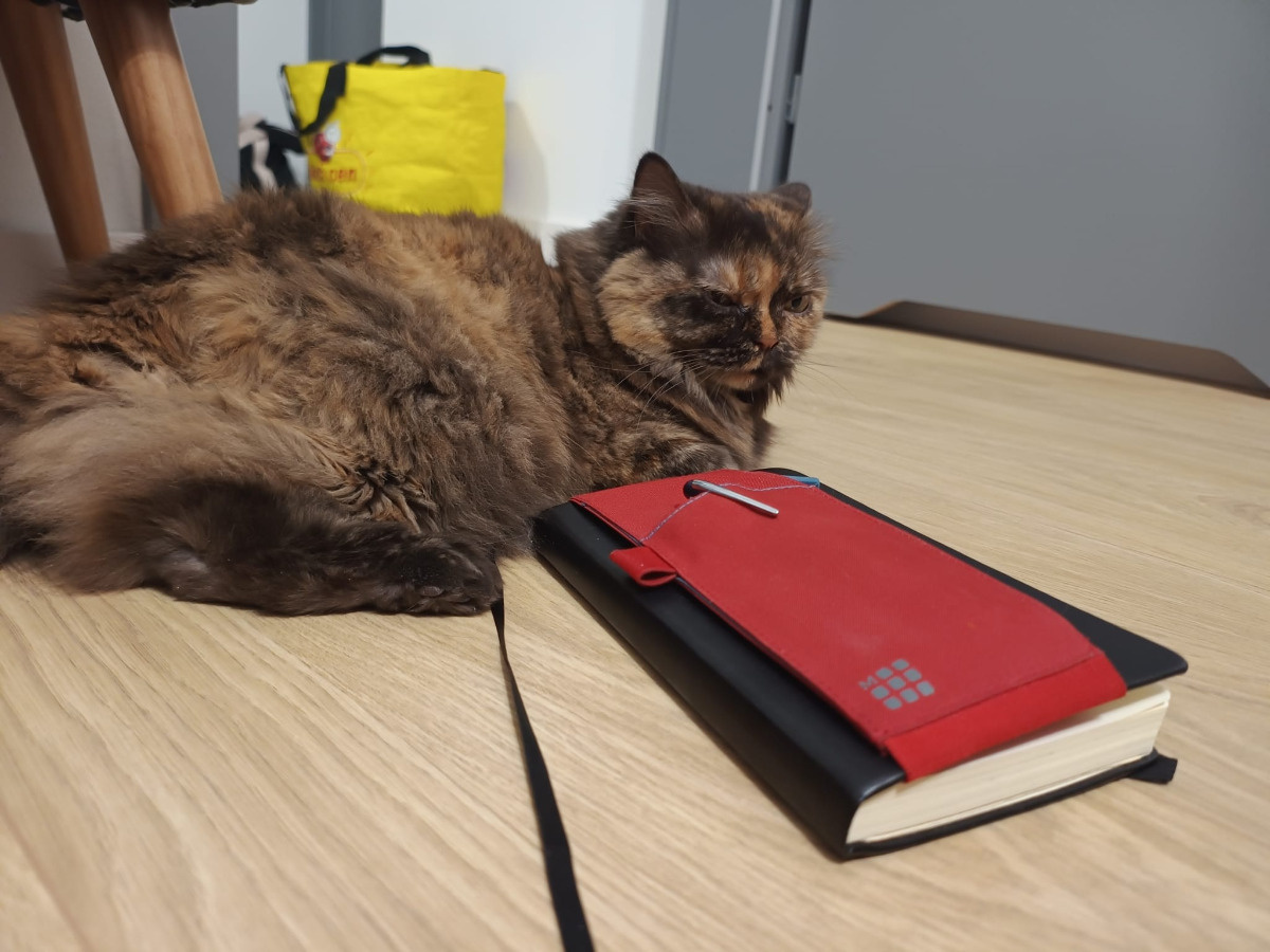 9539648a-e922-4ff8-88b3-03a119e5b585