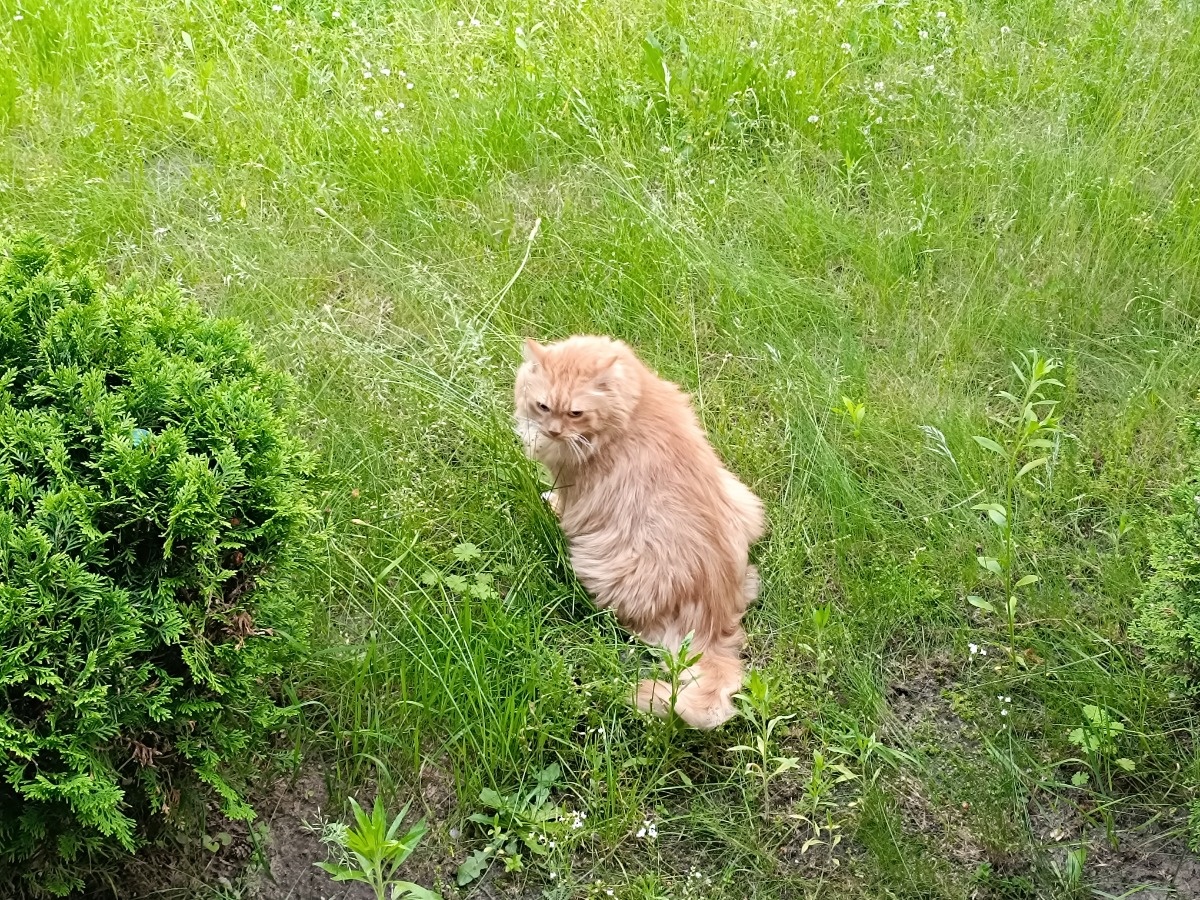 407d2ef8-84a0-49a9-8b08-31de79d0da13