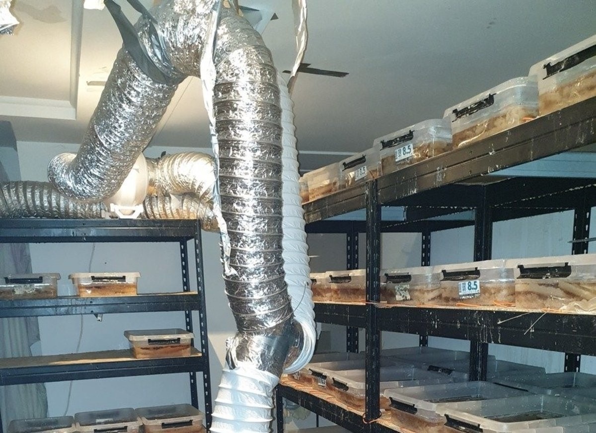 Gigantyczna fabryka narkotyków zlikwidowana. Wezwano zespół ratownictwa chemicznego