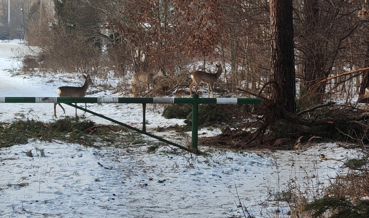 cfb86083-f2f3-4e57-9de5-b88ed34766b9