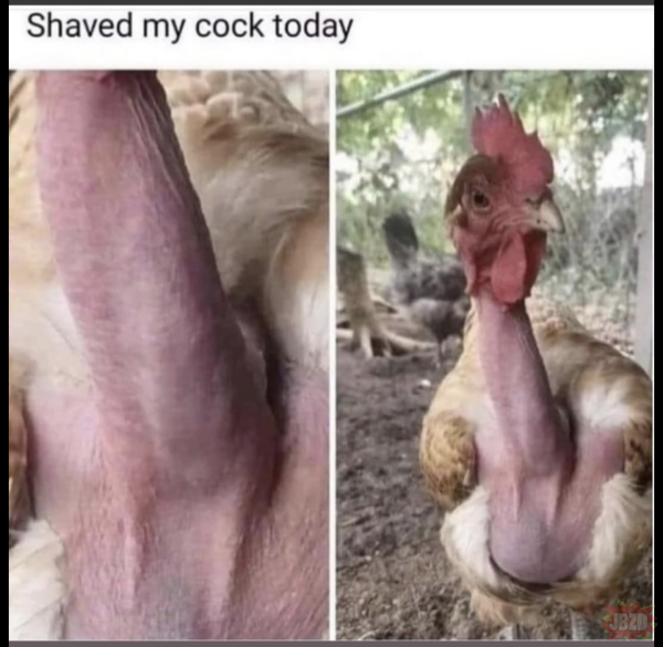 754b55dd-95ff-45fc-9f12-1daccd1ca9a0