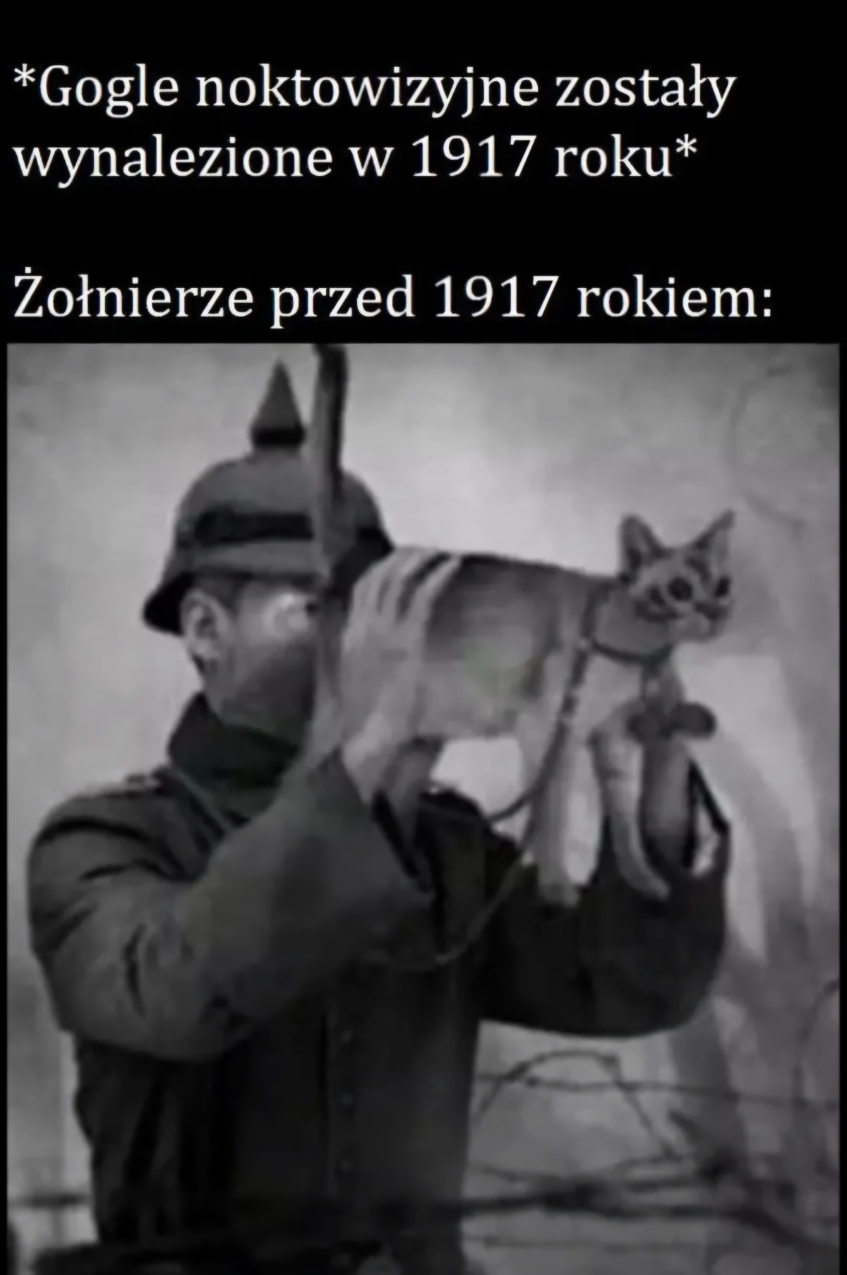 6e5488da-4199-41c6-90a5-525945f9b775