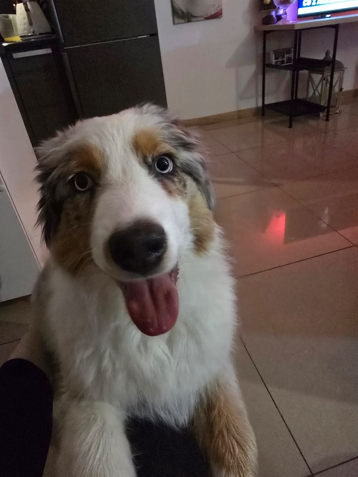 8cf8b379-3499-4b13-a41b-9818243cd0d3