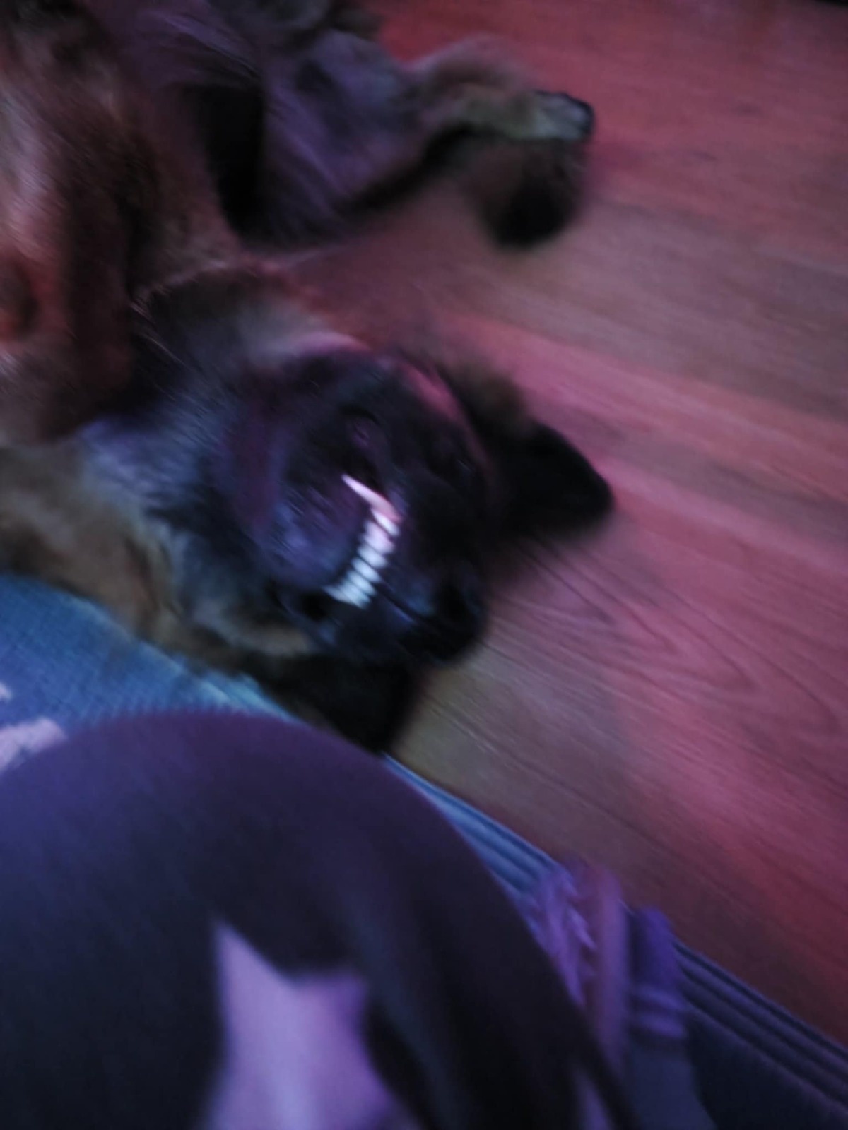 cdcab3b1-768b-4277-8020-152562b4db8e