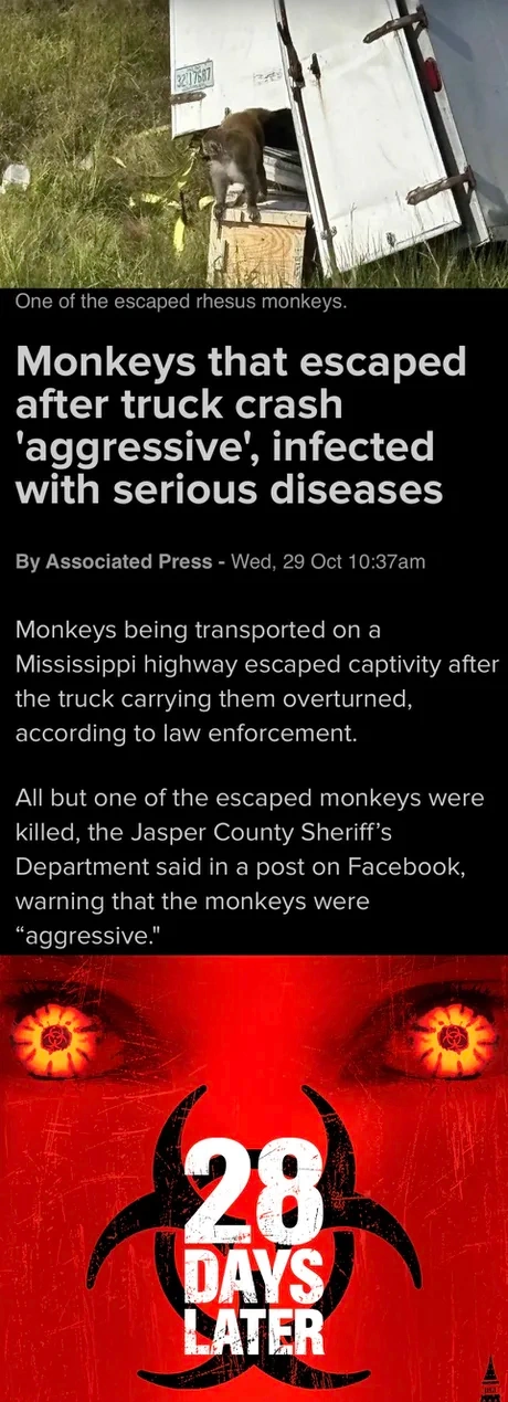 3a4872e9-1917-4006-8616-602d805dcccb