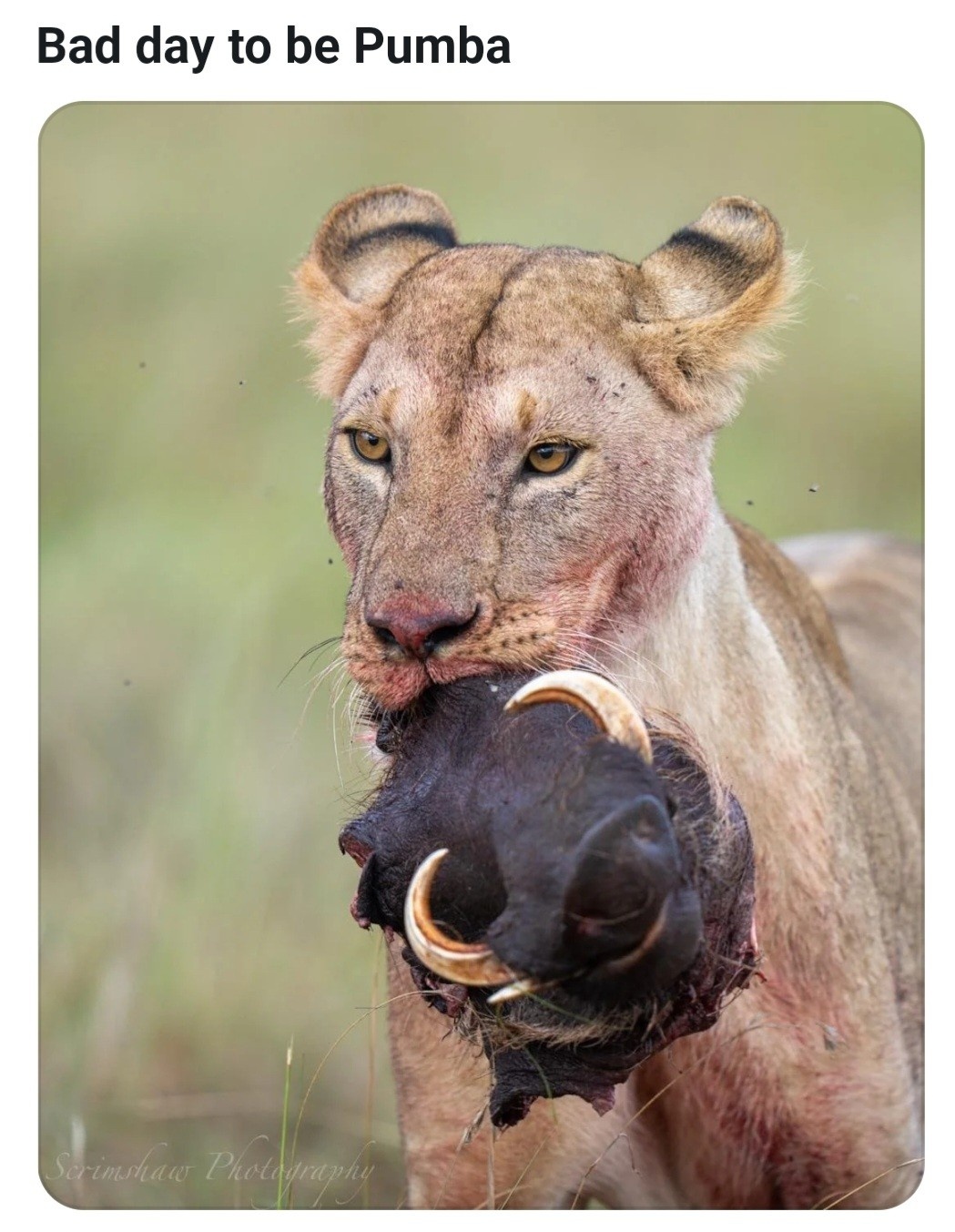 f26d1c2f-c8ac-47b6-ba78-01d4da40a154