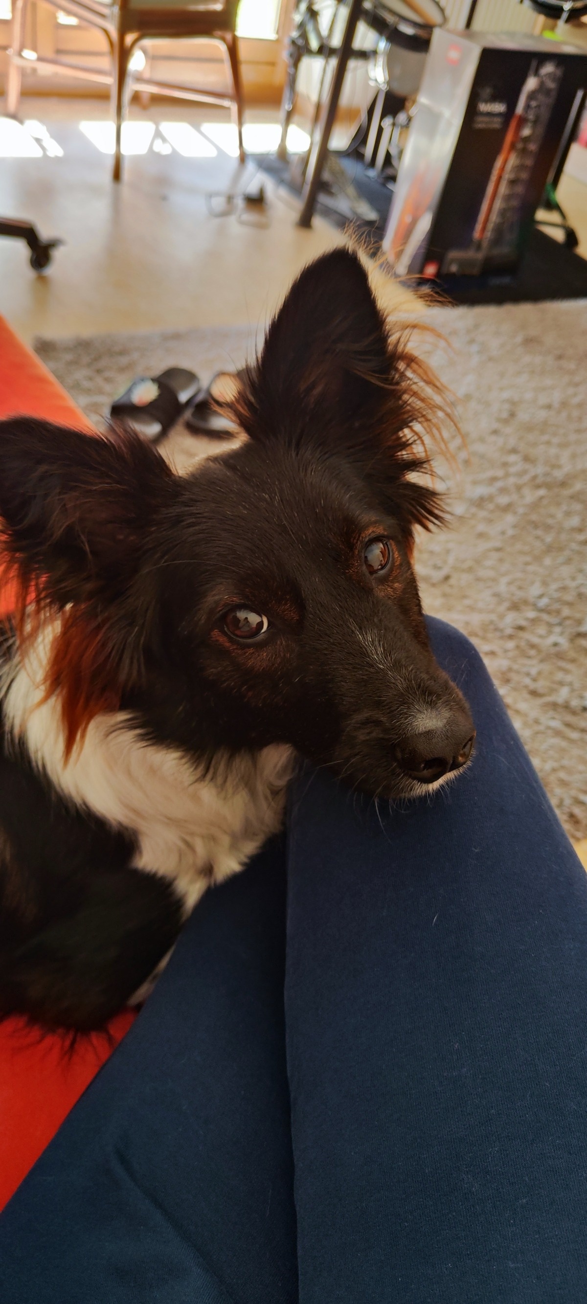 86646073-b4bf-4627-9e95-08a75130a0b0