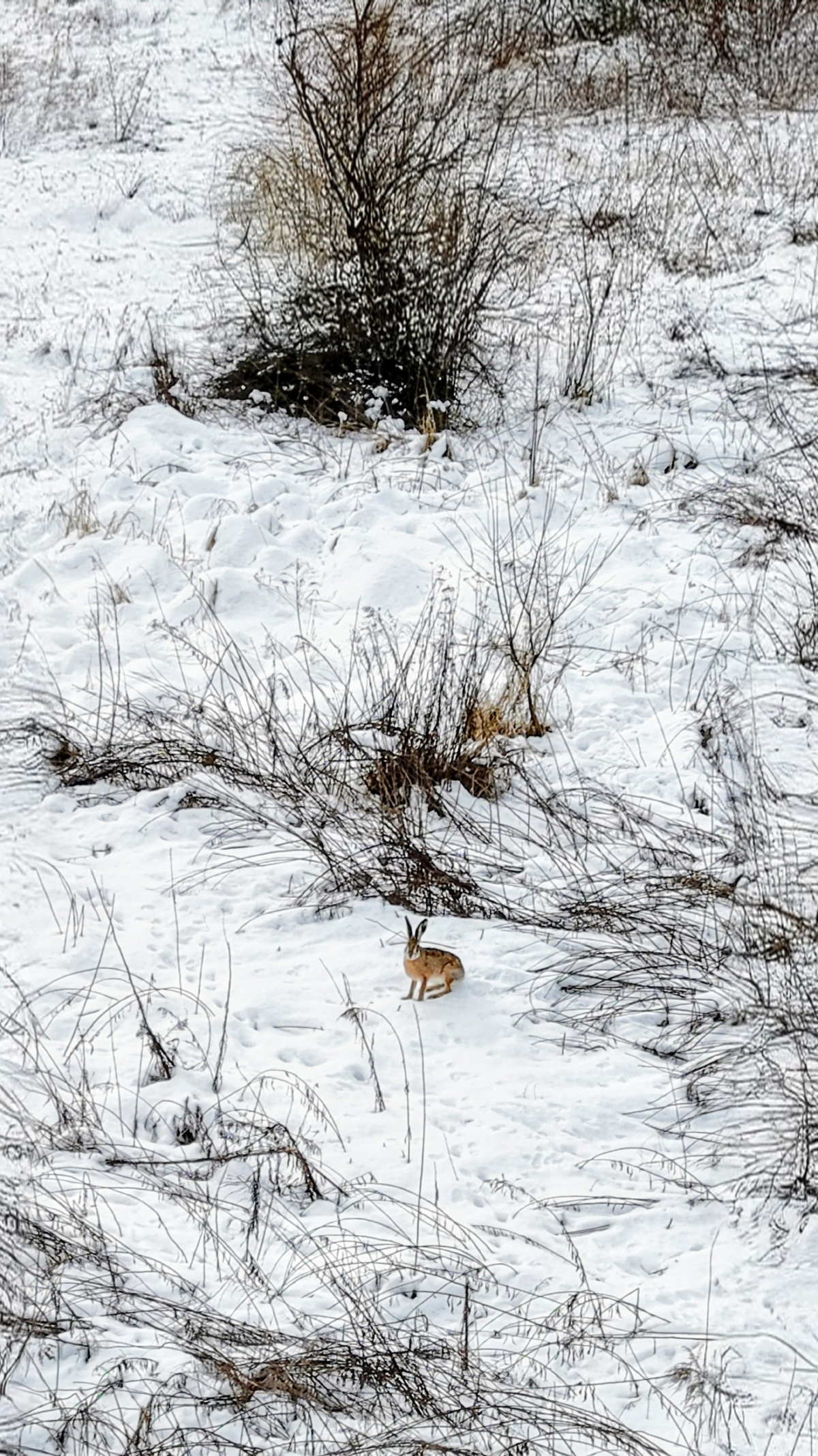 81a33002-6825-4f75-b90b-a8e8d1c534ce