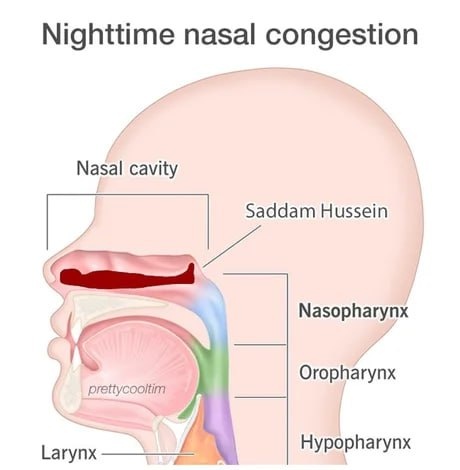 f2a2c50d-a69f-4733-80f4-2e0fa74f64c0