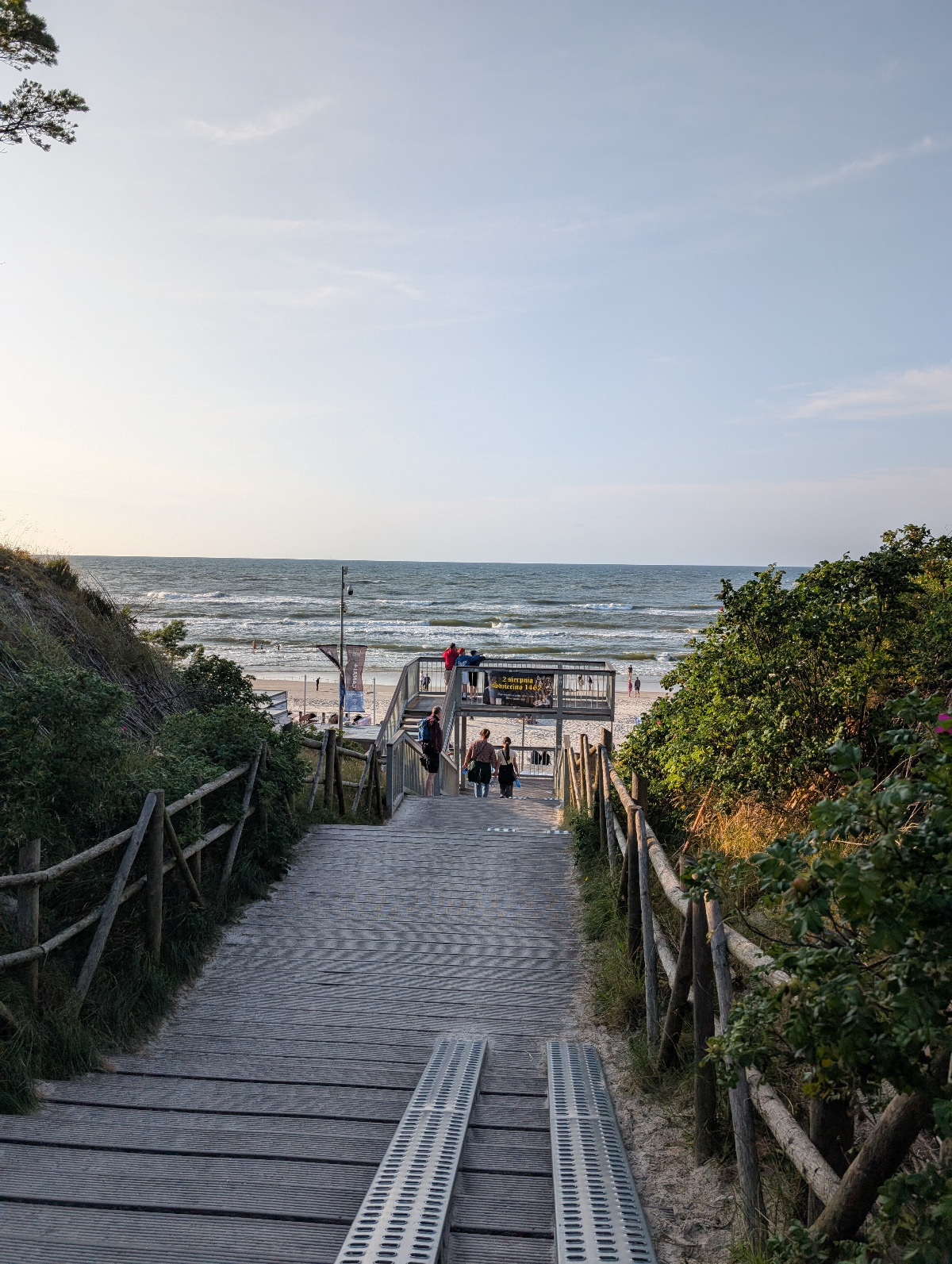 cf07d874-5e41-4c21-b3ea-26bf85e7fd24