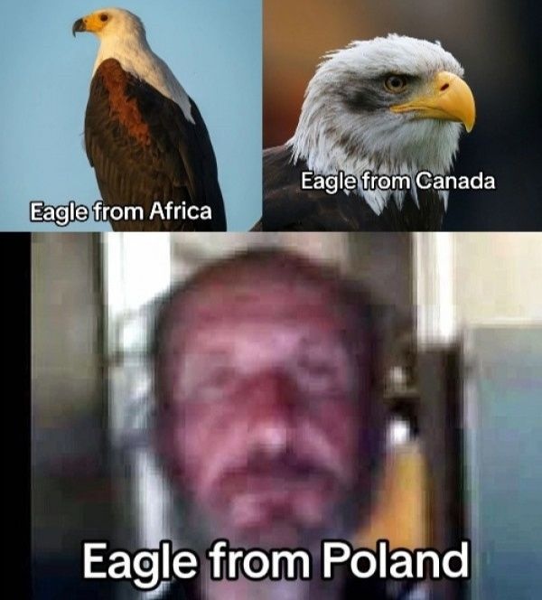 c70f7f81-7f4d-4881-a076-a8eaf37d3881