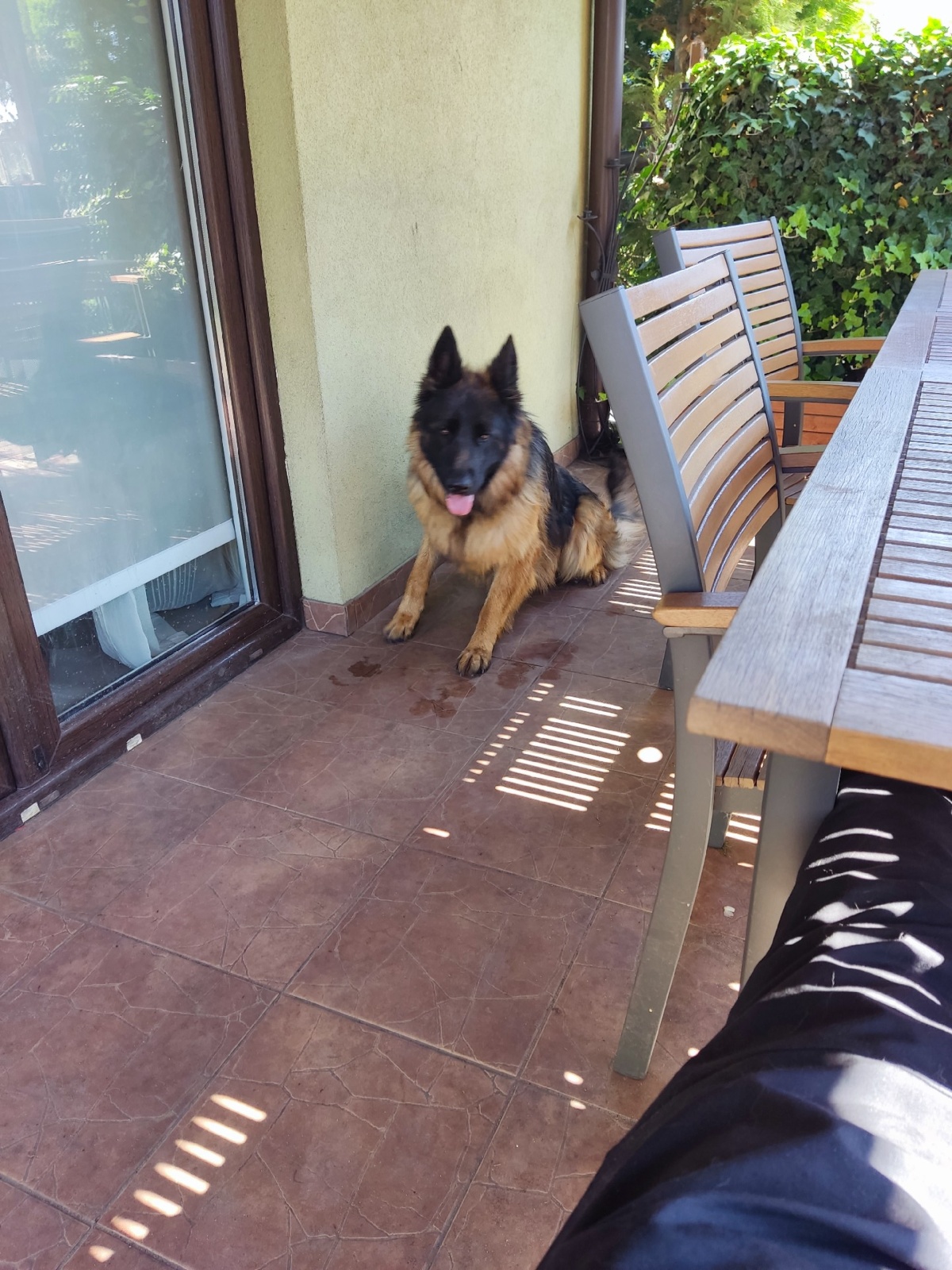 0b0f6066-73de-4b10-b5ad-476c975ff7be