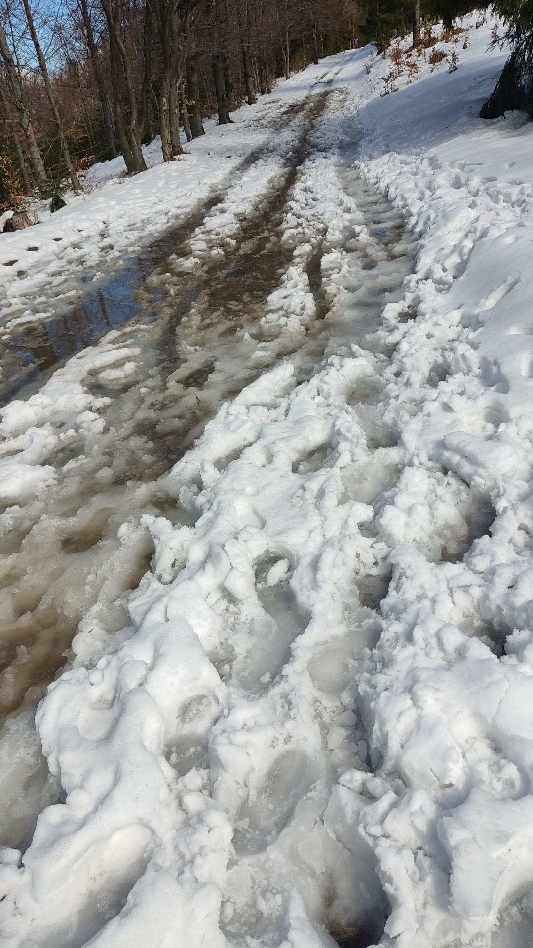 20f3b1db-708d-4351-bc8d-2ce4ce04ef74