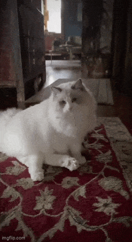 ba2260b9-422d-4045-82f7-746ccfc21f4b