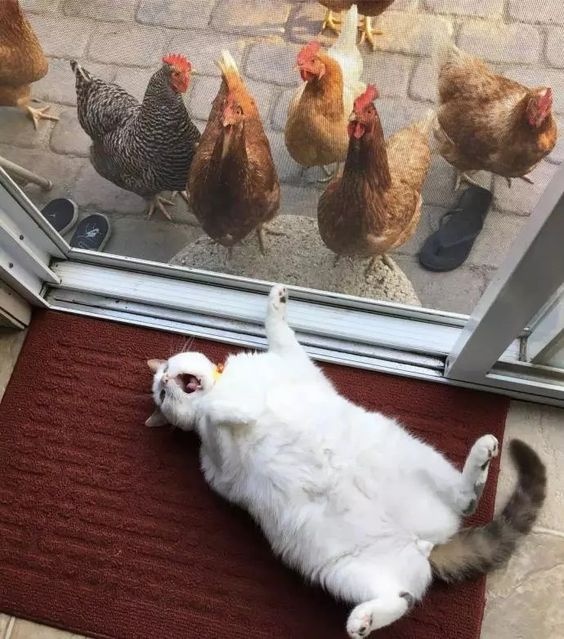 4913353d-446c-4325-9ba8-f76e8edca9a1