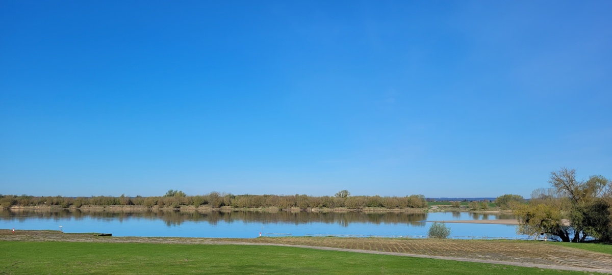 e09e8d96-d13e-4b28-9f30-7c04368c99e4