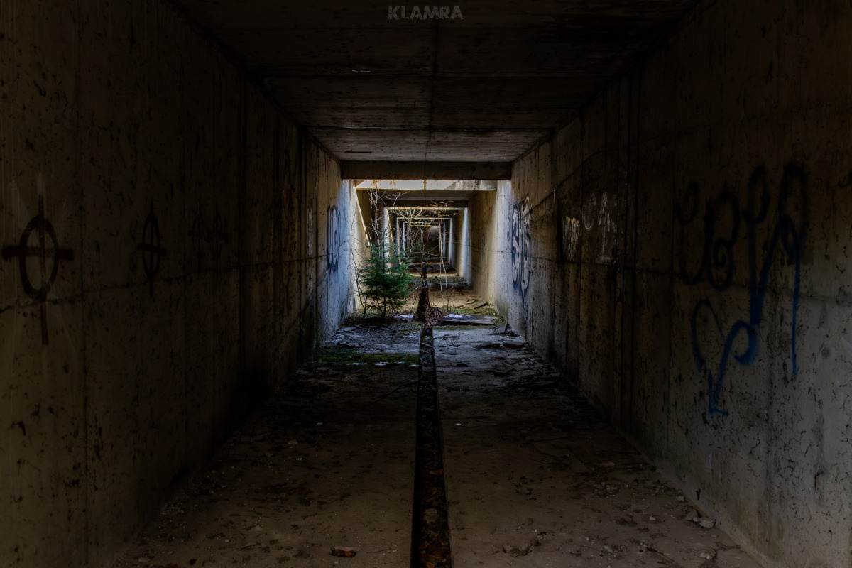 b49aacfd-ffb8-4792-9815-9625a42d852e