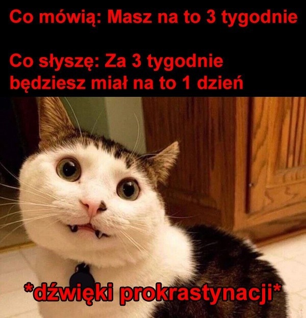 c065e71e-462b-463e-b552-534c5ae4c3f9