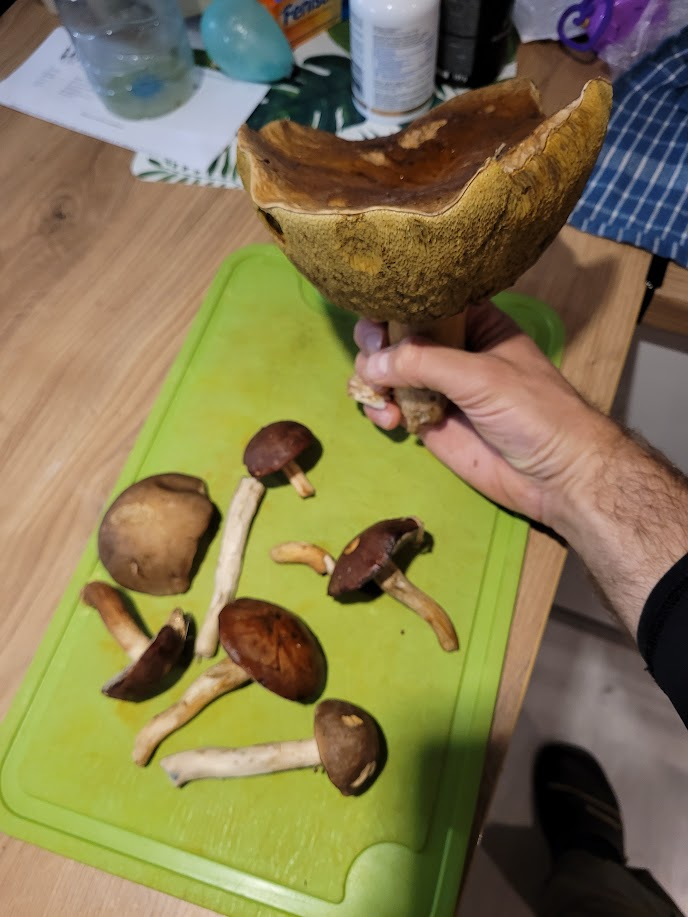 75981b92-5724-44eb-bf92-0f4ae6d809d7