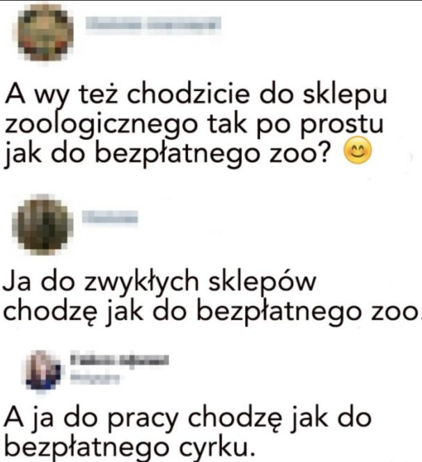 92a988e1-cfff-4179-a55e-d83e5a3b5305