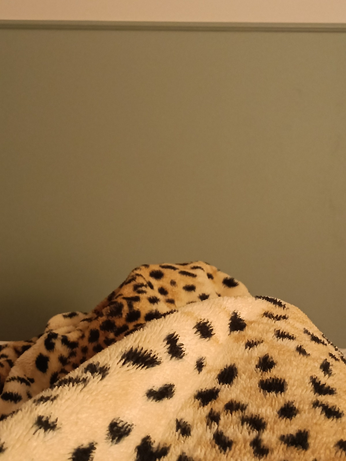 e1ae4b14-5293-439e-8e5a-6204acd72f84