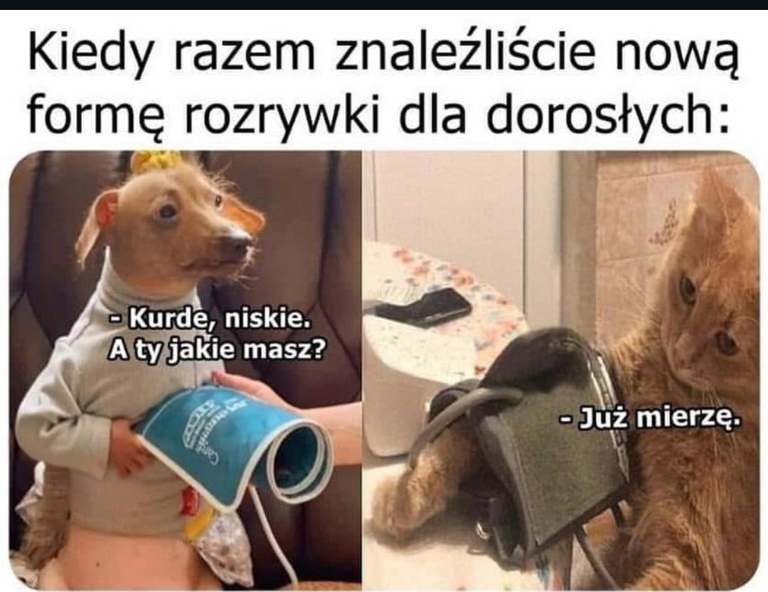 47a7505a-a8cd-4965-b7d1-e6c62a32c6cc