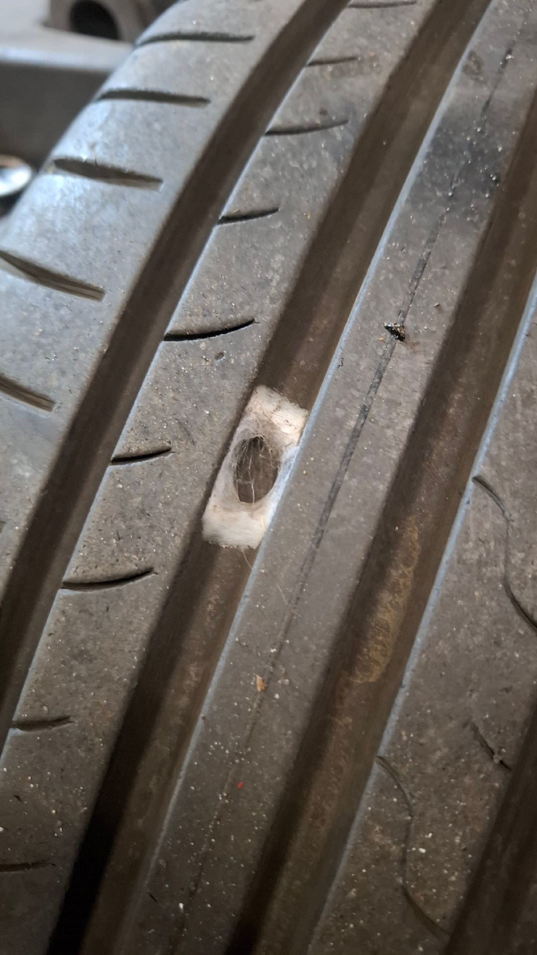 81388c1d-b862-477a-b88d-d2c130a37eab