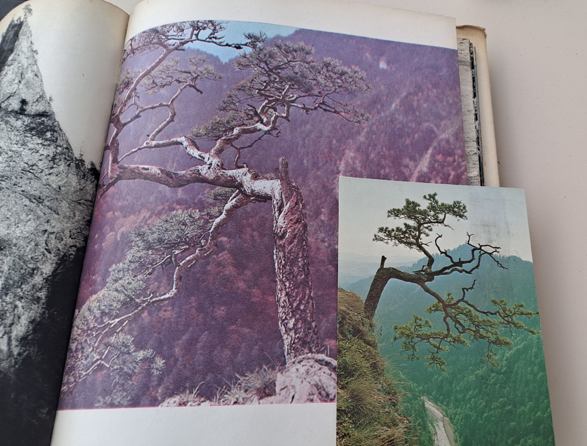 d8249d5a-0c2b-47a7-a871-6086eddd4e8a