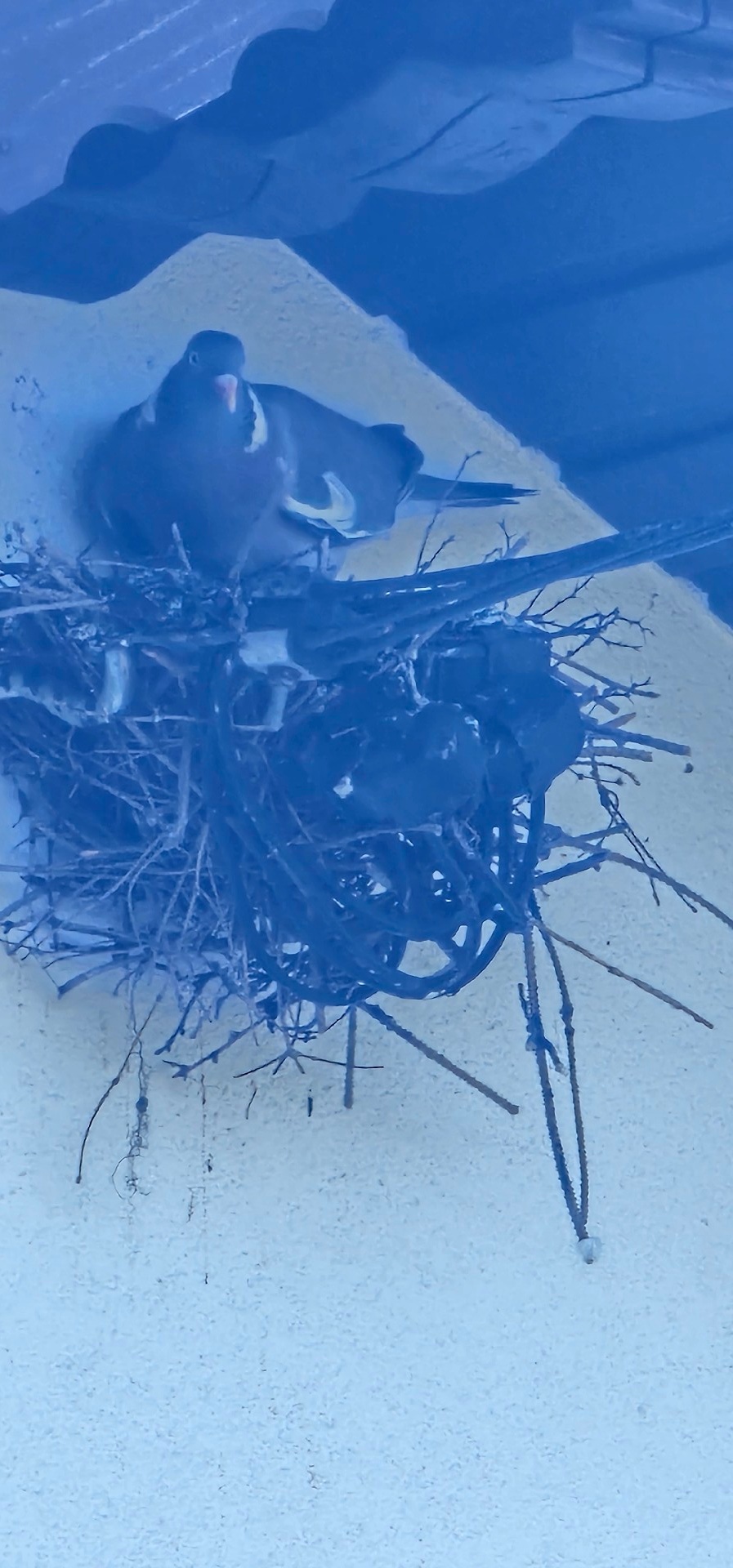 9d36c2a1-3f50-4ac4-b0b5-67c2983de64d