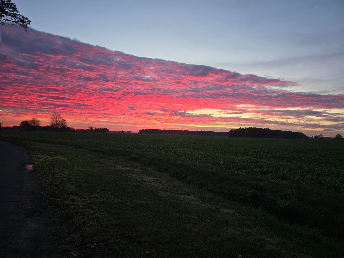 1e24bdb6-8854-4718-8688-01bfce410920