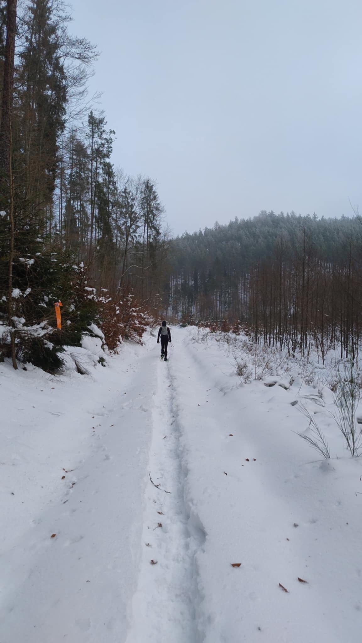 af2ebf85-db65-4e86-935c-fc700256afa9