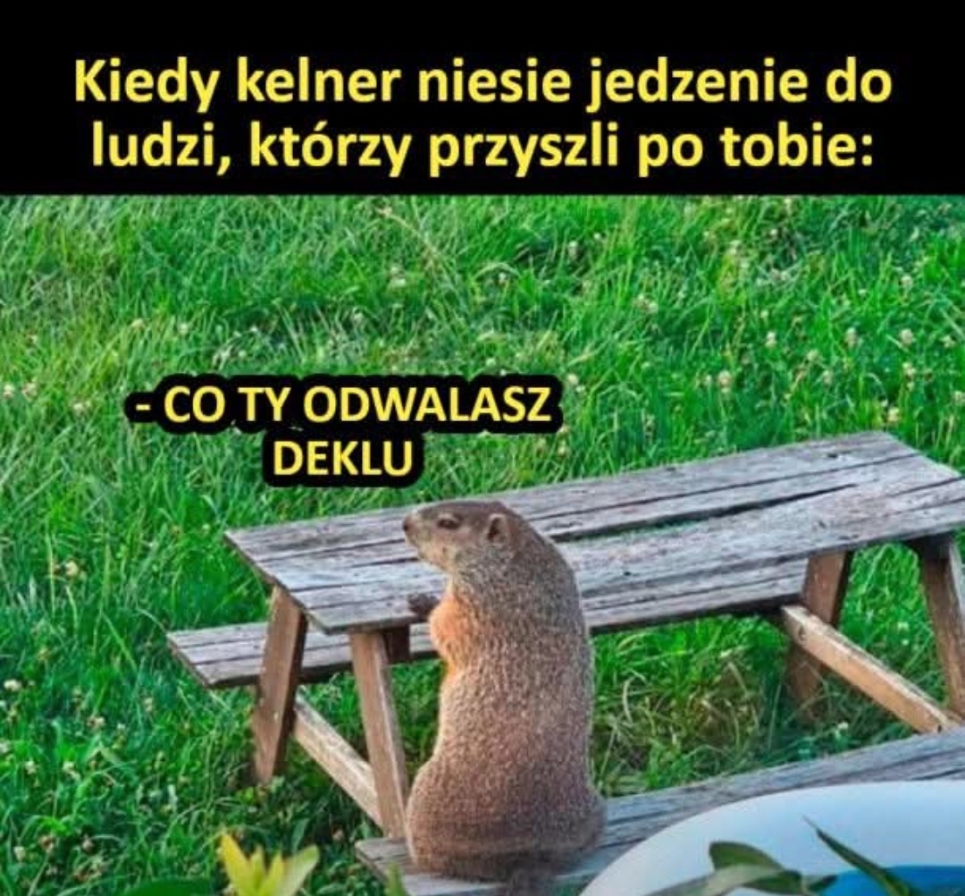 0e7a7a4d-ef36-49f2-a0ae-446c86dfe3e5