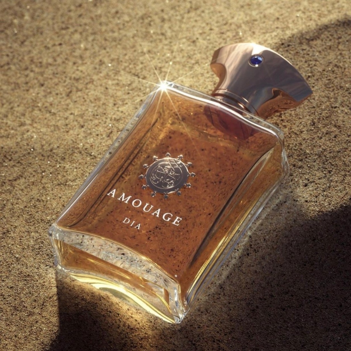 b341bee6-1b20-4d6f-87fb-8372bbe58977