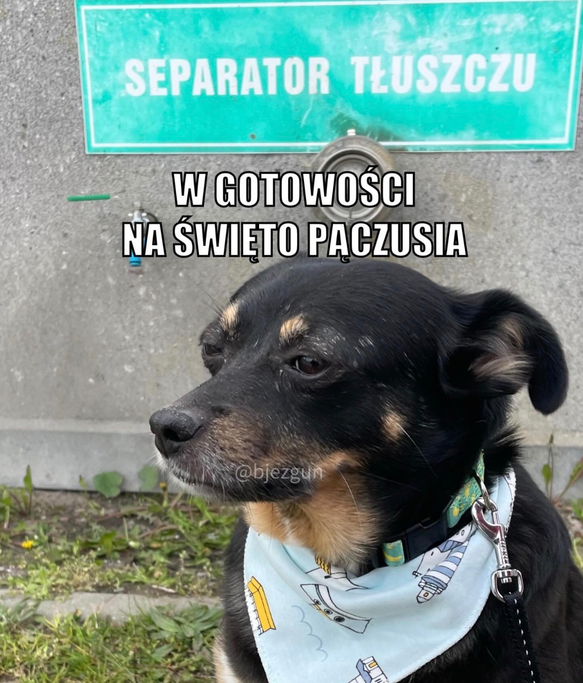 cb3c4403-706b-47f5-886c-74110bb2b33e