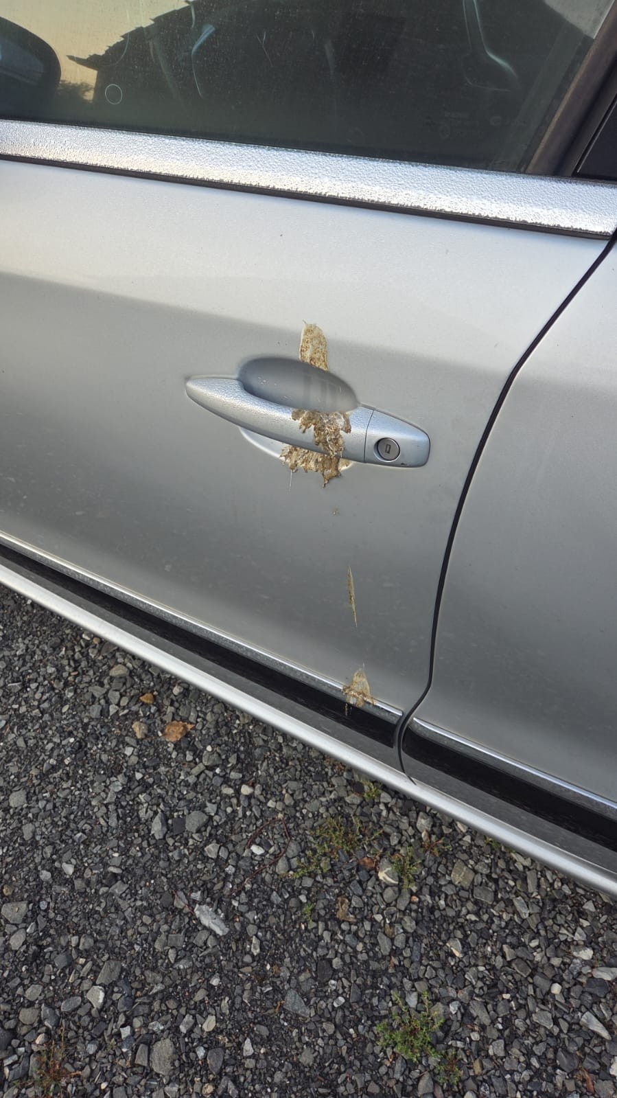 a163e16d-ac52-44c3-bfea-858118820f11