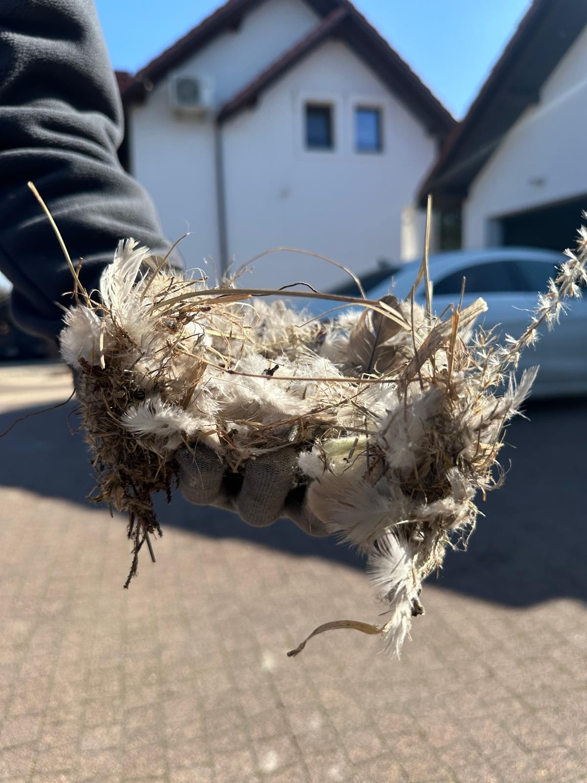 0157ec46-d249-4ee0-90fd-e279377d40e4