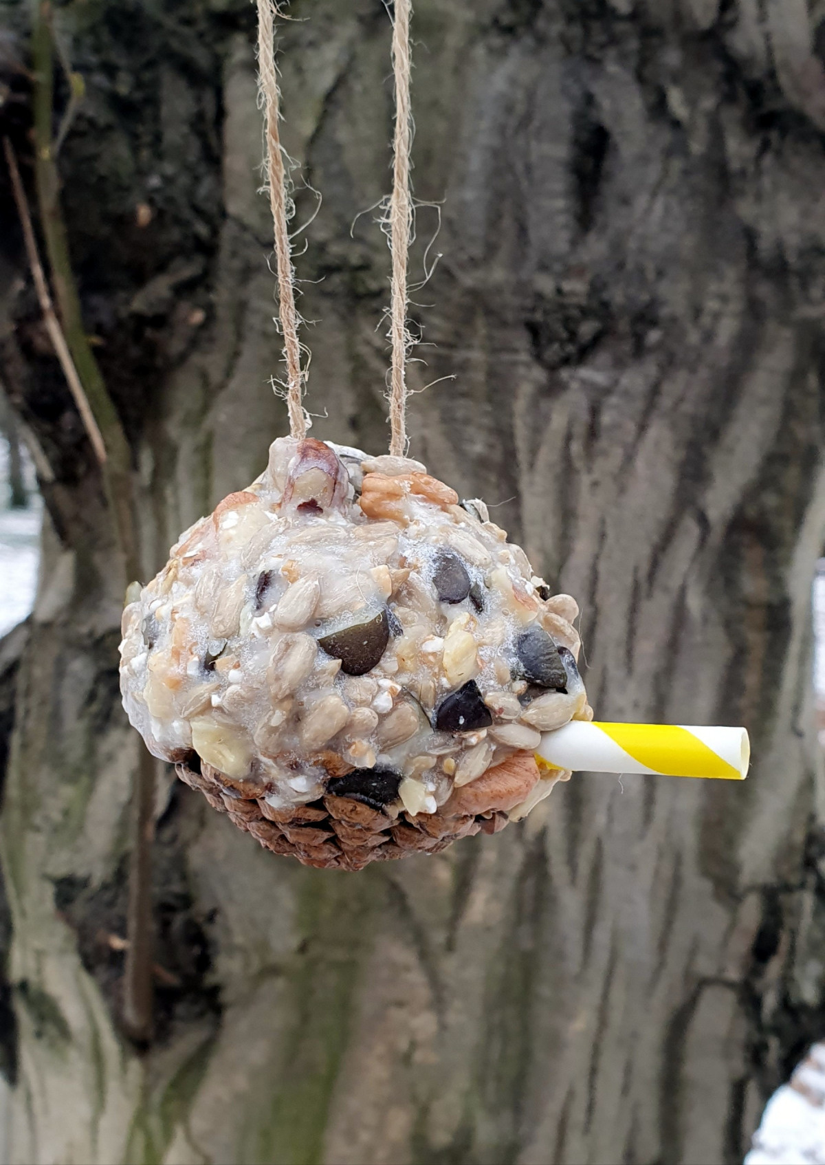 83ca10b3-3640-4be2-849f-7f161d9c374a