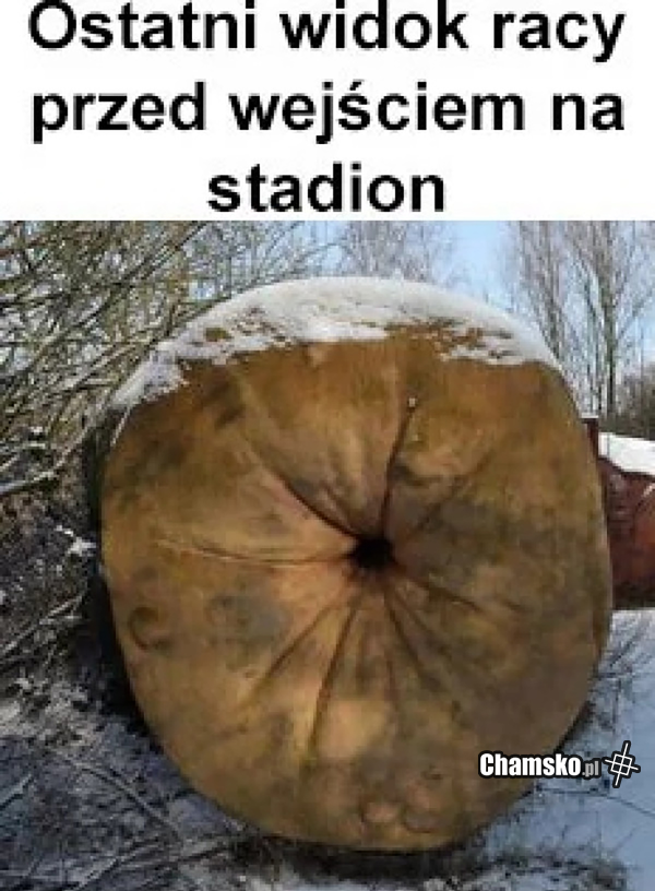 f3febcbb-61ed-450d-aa87-ecd2f6fd5246