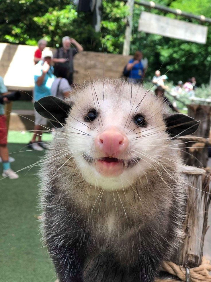 df910948-7187-44cc-8b33-63c4b487ca7f