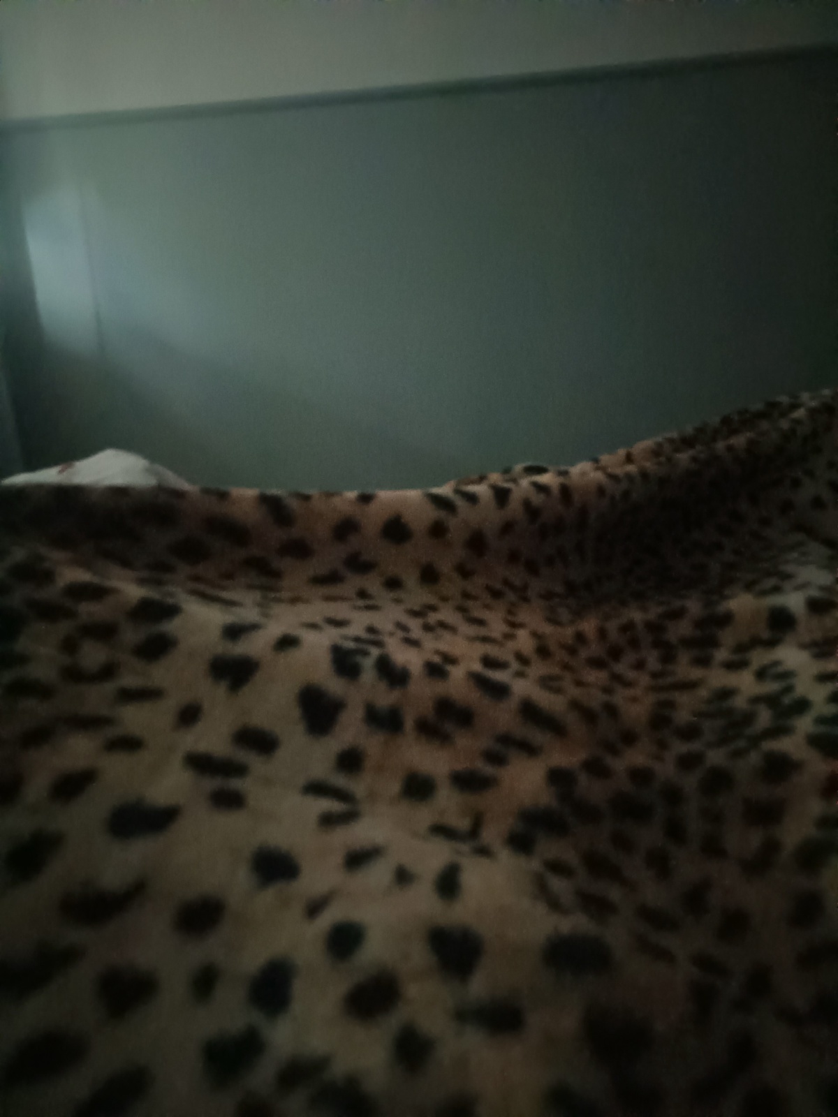 84a2ed6c-160f-4e09-925e-11bf1fea8bea